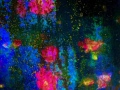 2022040105