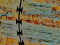 Psychosoma