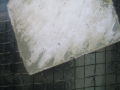 geometrische-progression
