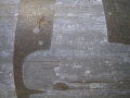 omina-tua-tecum