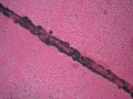 schienengeschichte