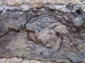 von-oben